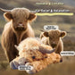 🐂🎁Jouet mignon en forme de vache des Highlands